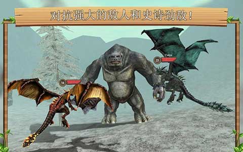 巨龍模擬器